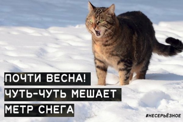 Весна не приходит