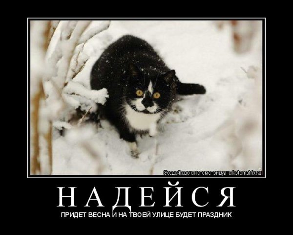 Шутки про весну