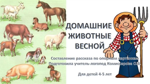 Домашние животные весной