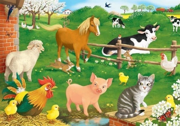 Двор для домашних животных