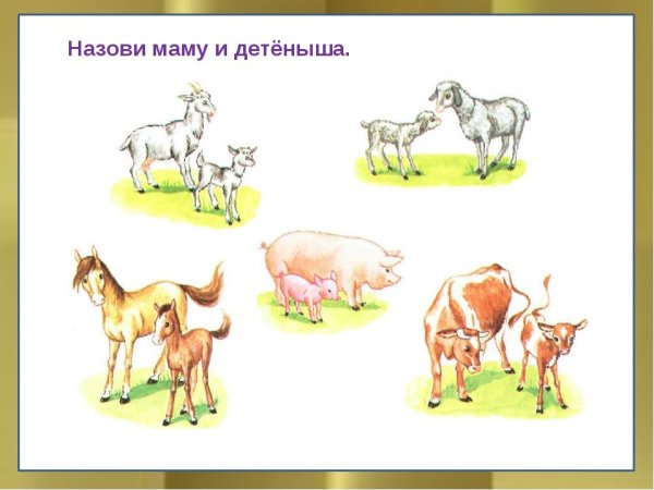 Животные и Детеныши для детей
