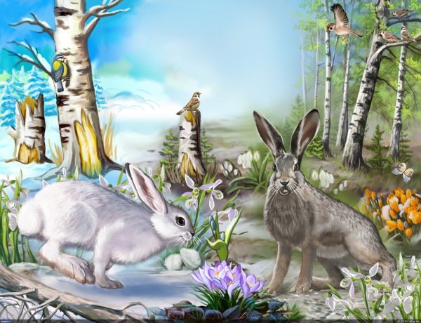 Тема недели домашние животные и птицы