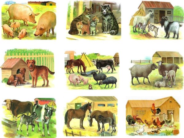 Козлик на природе