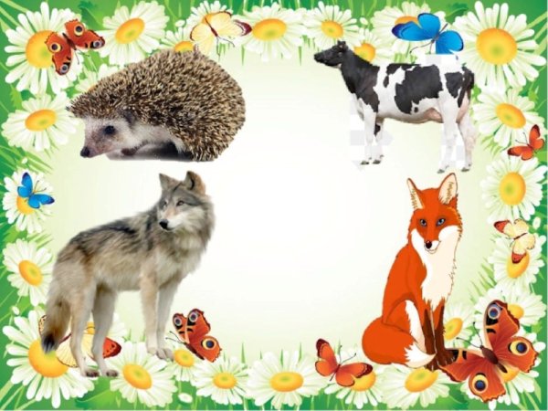 Курица с цыплятами для детей