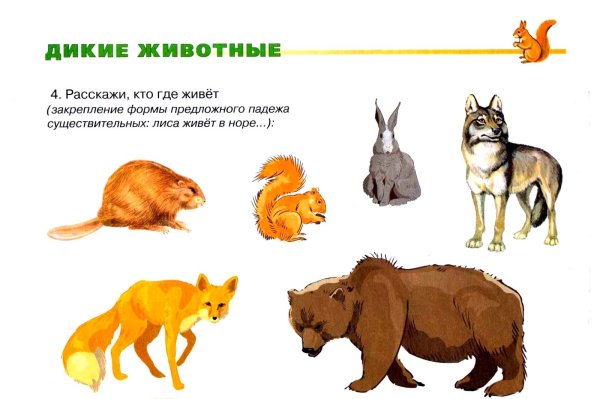 Дикие и домашние животные