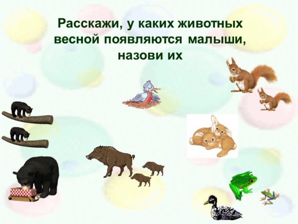 Лесные зверюшки для детей