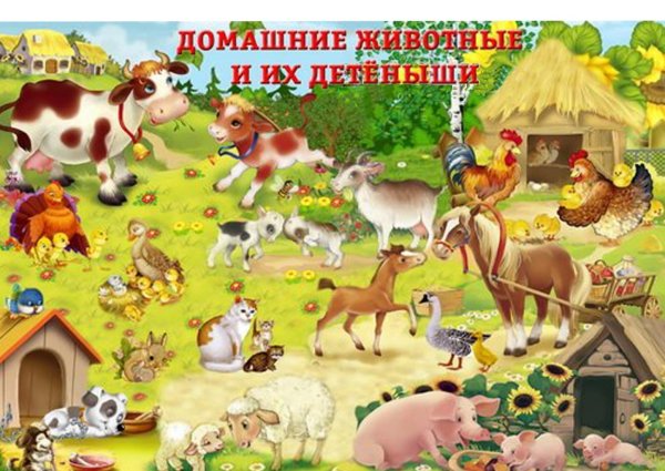 Дикие животные для детей