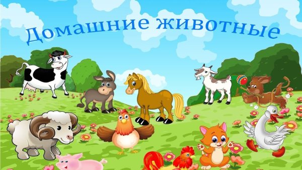 Животные весной для детей