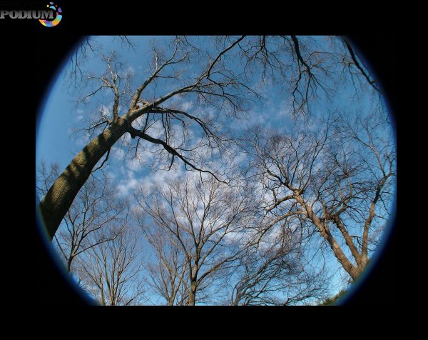 Весна в объективе