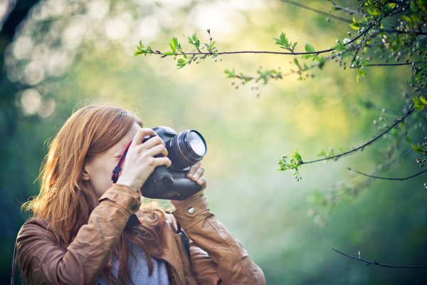 Фотографии любителей и профессионалов