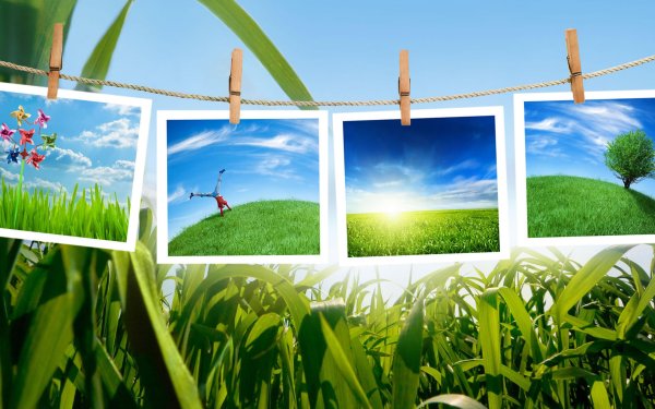 Рамка для летнего коллажа