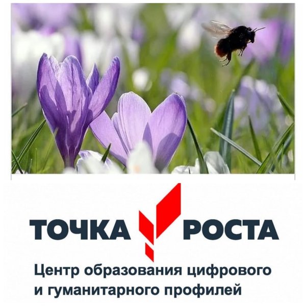 Фотоконкурс объявление