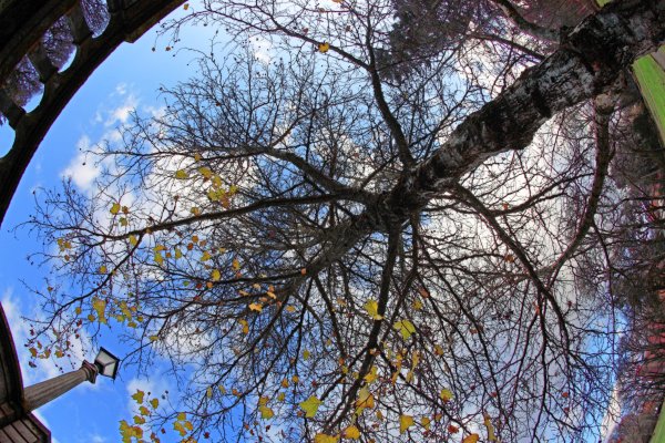 Картинки на рабочий стол Весна