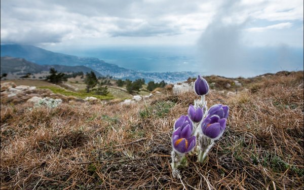 Длиннофокусный объектив