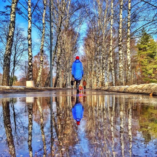 Девушка в яблонях