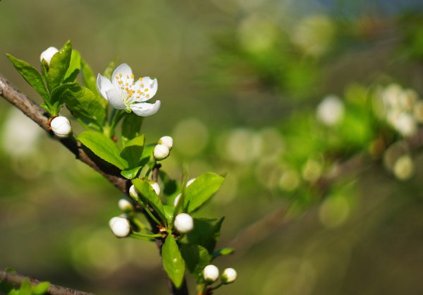 Весна слякоть