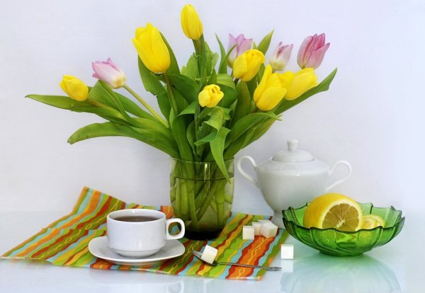 Чайные тюльпаны