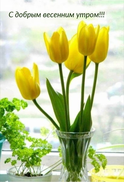Весенний букет с добрым утром