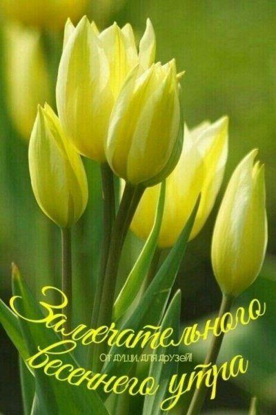 Весенний натюрморт