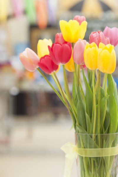 Доброе Весеннее утро и хорошего