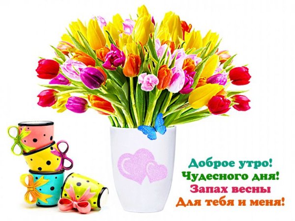 Добрые пожелания с тюльпанами