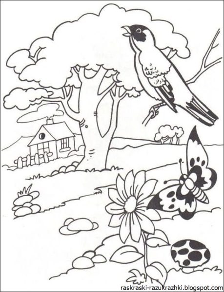 Раскраска. Весна