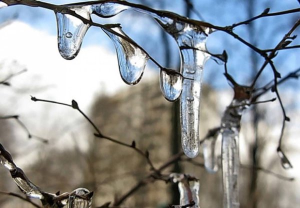 Ранняя Весна капель