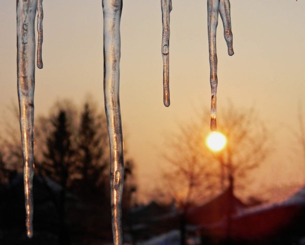 Весенняя капель