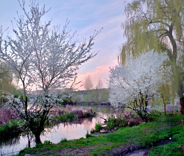 Утро весной