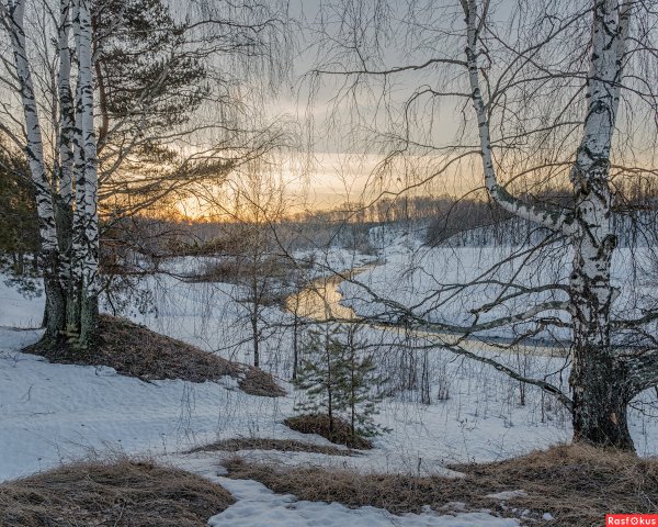 Весеннее утро пейзаж