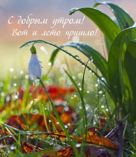 Доброе Весеннее утро с детьми