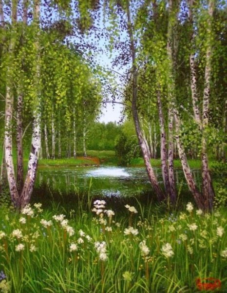 Березы река закат