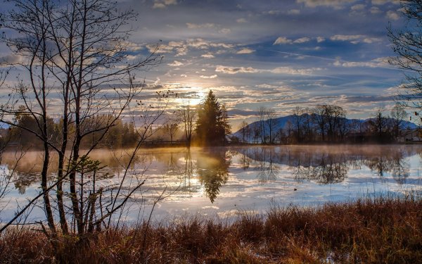 Солнечное утро