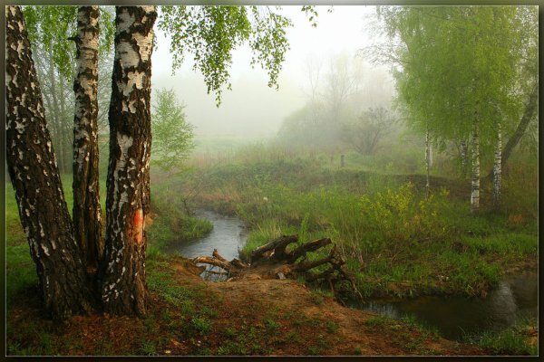 Природа Весна рассвет