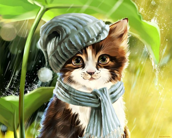 Весенний кот