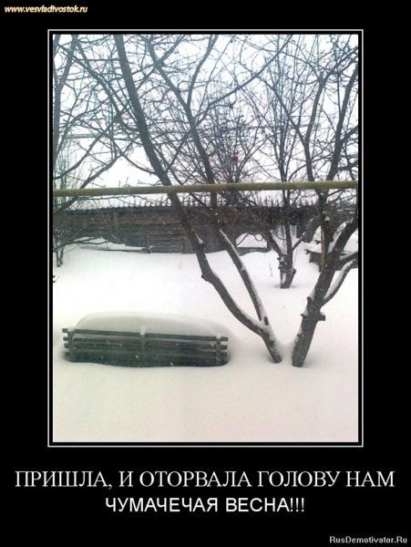 Весна любовь приколы