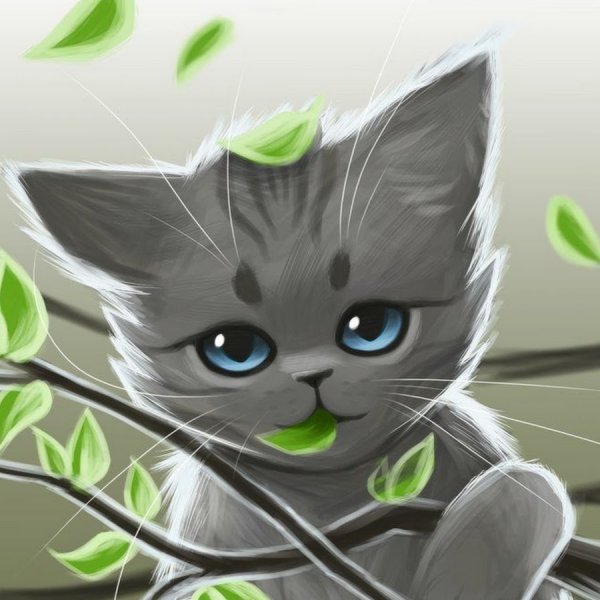 Красивые котята