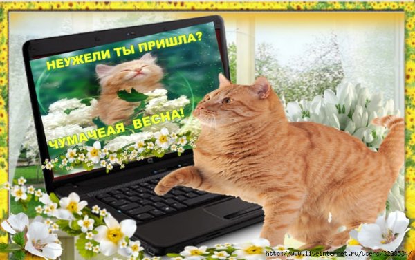 Пришла и оторвала голову нам Чумачечая Весна