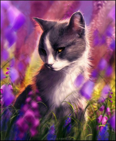 Котик с венком на голове