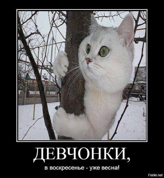 Мотиваторы Весна пришла