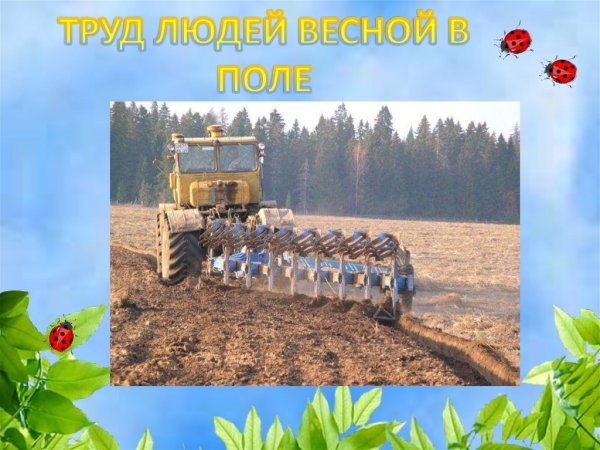 Весенняя страда занятие в старшей группе