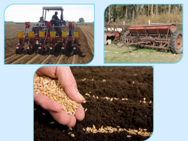 Труд людей осенью