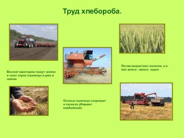 Сельскохозяйственные работы весной