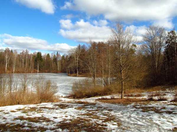 Ранняя Весна 1956