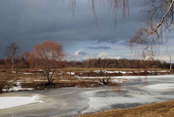 Ранняя Весна природа