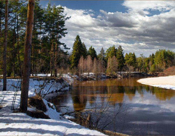 Весна деревня апрель проталины