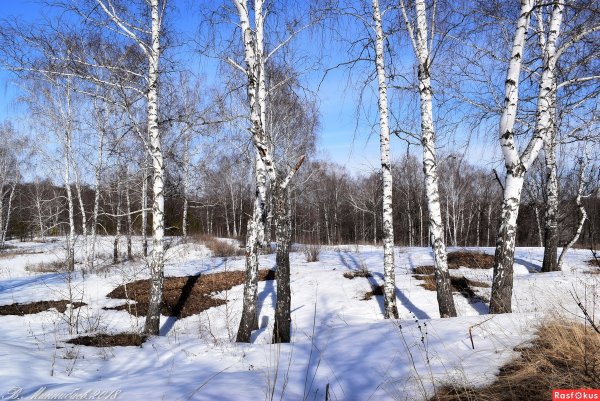 Весеннее половодье