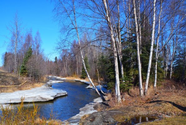 Ранняя Весна