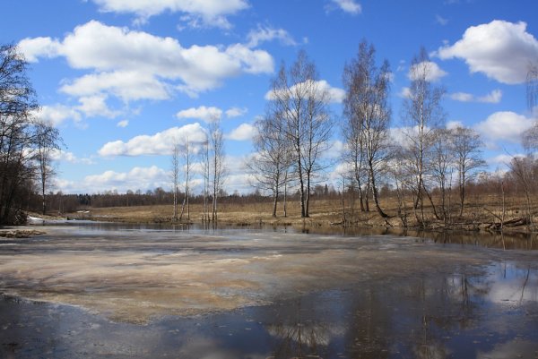 Красивая ранняя Весна