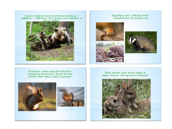 Животные весной для детей